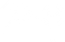 Analytics-First Mindset