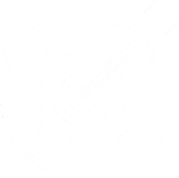 Domain-Led Execution